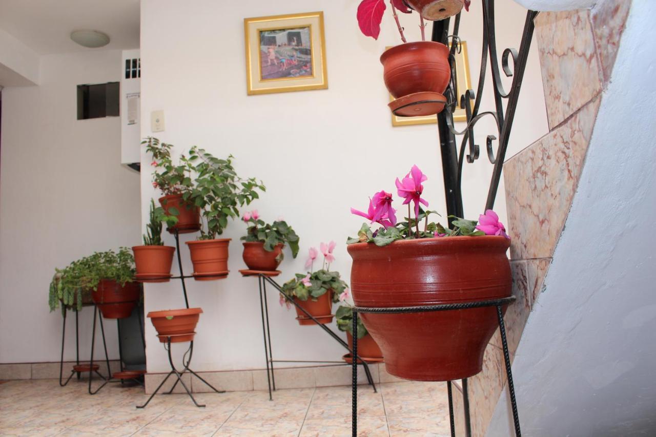 קוסקו Kennedy Guest House מראה חיצוני תמונה
